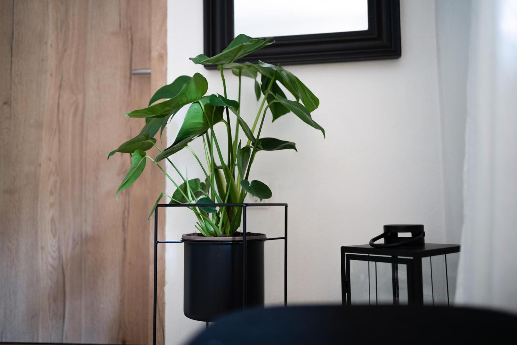 Ferienwohnung Am Siglhof Samerberg Ngoại thất bức ảnh